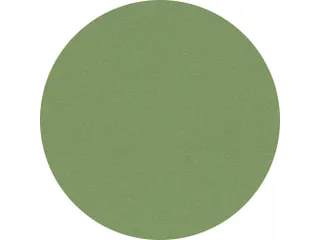 Prikbord Rond Bulletin Groen Kleur 2213 Paneel Ø 60 cm frameloos - 1