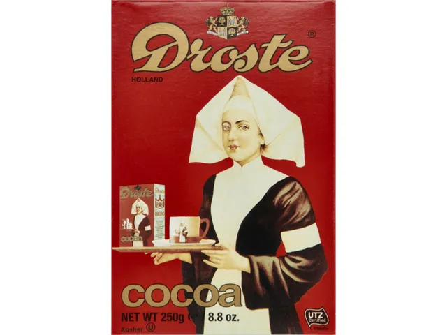 Cacao Droste 250gr