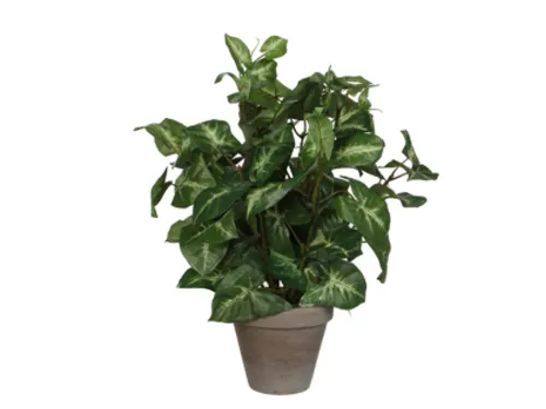 Kunstplant Mica Syngonium groen in pot 35x25cm