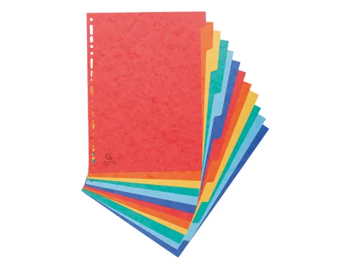 Tabbladen glanskarton 225g 12-delig formaat 24x32cm Assorti
