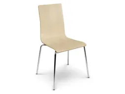 Houten Kuipstoel Frame V. Staalbuis Zitschaal Laminaat Esdoorn 4 Stuks