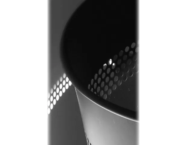 Papierbak BRASQ 15 liter zwart metaal rond