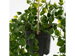 Kunstplant Mica Ficus hangend in pot groen 20x46cm - 10