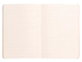 Notitieboek Rhodia A5 lijn 80 vel 90gr celadon - 3