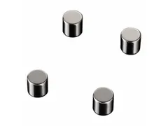 Glasbordmagneten Naga 10x10xmmcylinder set a 4st. zilver