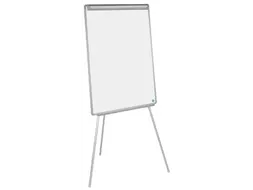 Bisilque Flipchart Euro Earth-it