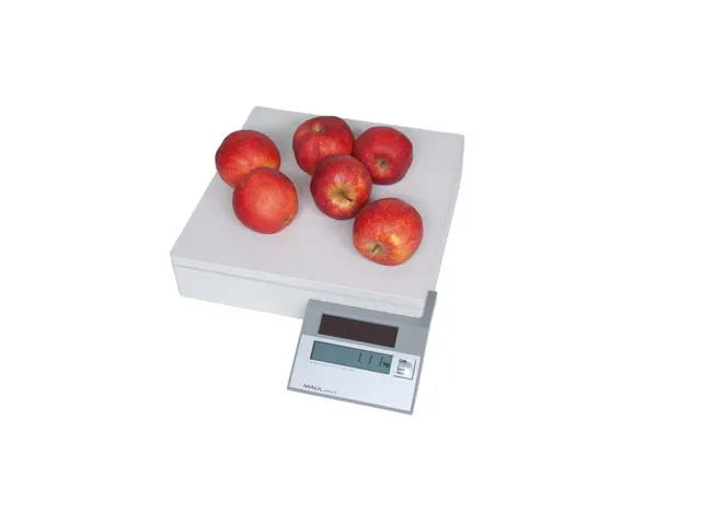 Pakketweger MAUL Parcel S 30x30cm solar 50kg