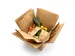 RecyCold Cool Pack Kraft/PE Koelelement 500 gram 220×150×30mm
