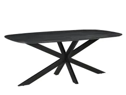 Vergadertafel Harper Deens Ovaal 300x100cm Zwart blad met Spinpoot
