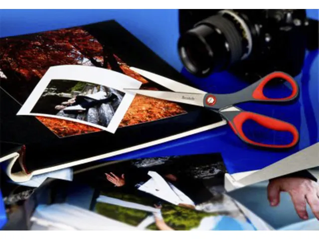 Schaar Scotch 18cm precision rood blister