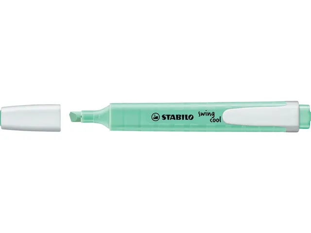 Swing Cool Pastel Markeerstift, Hint Of Mint