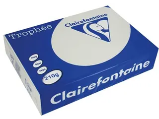 Trophée Pastel gekleurd papier A4 210 gram 250vel Lichtgrijs - 2