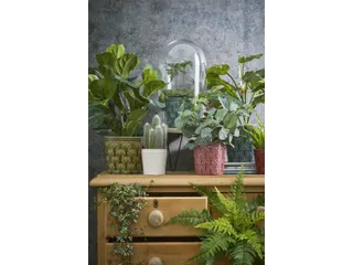 Kunstplant Mica Pilea in pot Ø11,5cm 35x25cm - 4
