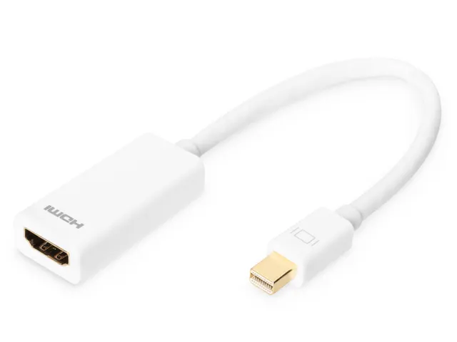 DisplayPort-adapter / -converter Wit
