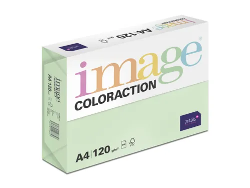 Kopieerpapier Forest Middelgroen A4 120 Gram 250 Vel