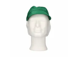 Pet met klep en haaropvang maat L Polyester Kroon Groen 100 stuks