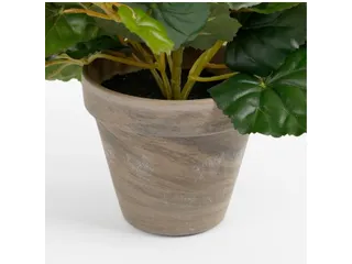 Kunstplant Mica Begonia wit in pot Stan grijs 25x30cm - 3