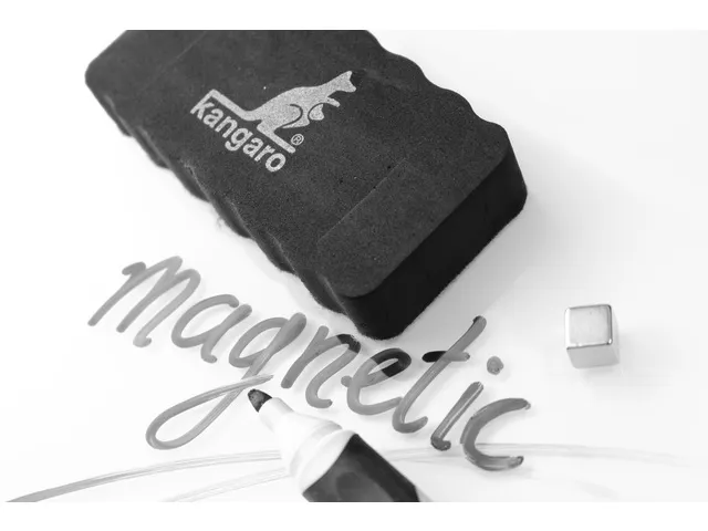 Effaceur magnétique Kangaro 105x55x22mm