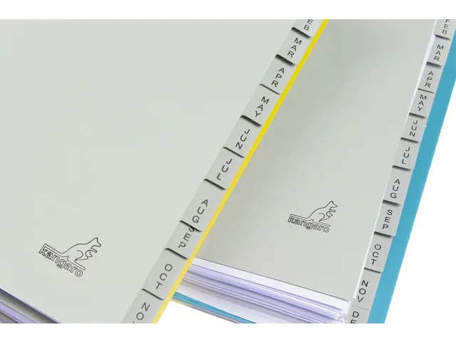 Tabblad ECO Kangaro A4 letters 180 grams grijs karton 4-gaats 12-delig