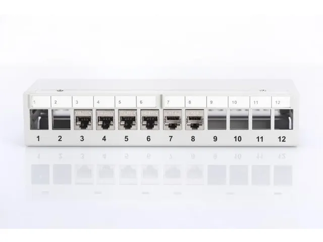 Modulair Desktop Patchpaneel SOHO Afgeschermd 12-poorts Grijs