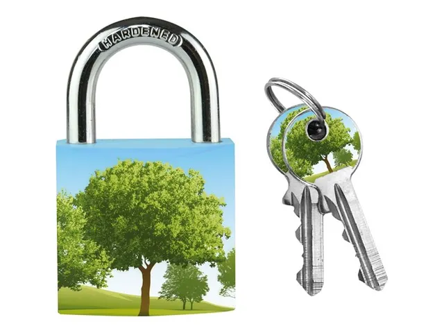 Hangslot Masterlock 30mm met 2 sleutels Assorti motief