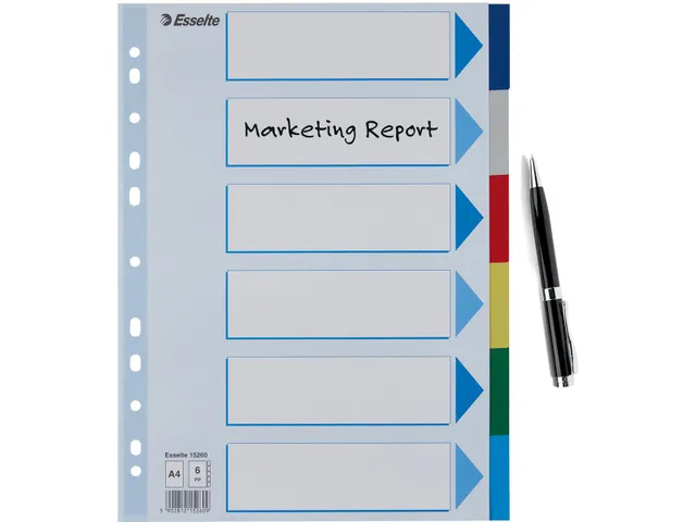 Esselte Tabbladen 6 Tabs