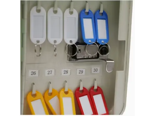 Sleutelkast 30 Sleutels Wandmontage Met Wachtwoordcode Wit