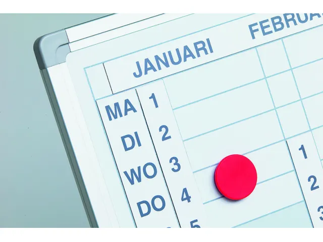 Dagstrook Smit Visual Voor Verticale Jaarplanner 120x90 Cm