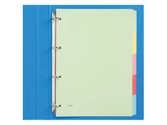 Tabbladen Budget A4 4-gaats karton 5-delig assorti karton