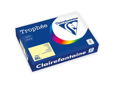 Trophée Pastel gekleurd papier A4 80 gram 500vel Kanariegeel