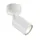 Plafondspot Integral Siena 1 spot IP20 GU10 wit