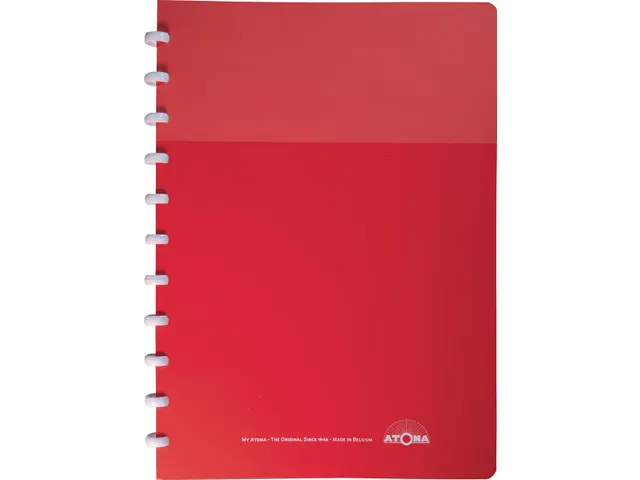 Schrift My Creative Atoma A4 Assorti Ruit