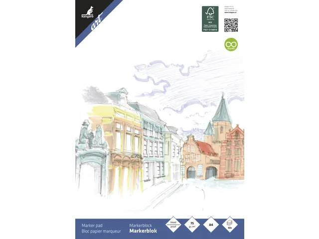 Workshoppakket vrouw met planten FC incl. toebehoren NL