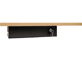 Persoonlijke lade Euroseats 295x390x90mm zwart - 5
