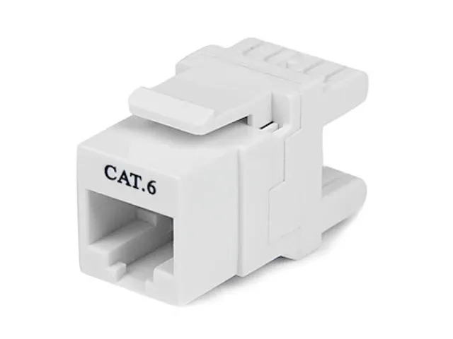 180° Cat6 Contactbus - RJ45 Ethernet Cat6 Wandcontactbus Wit