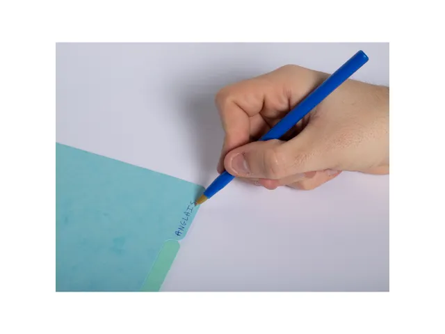 Tabblad In Glanskarton 400G/M2 Aquarel 12 Verdelingen A4 Assorti