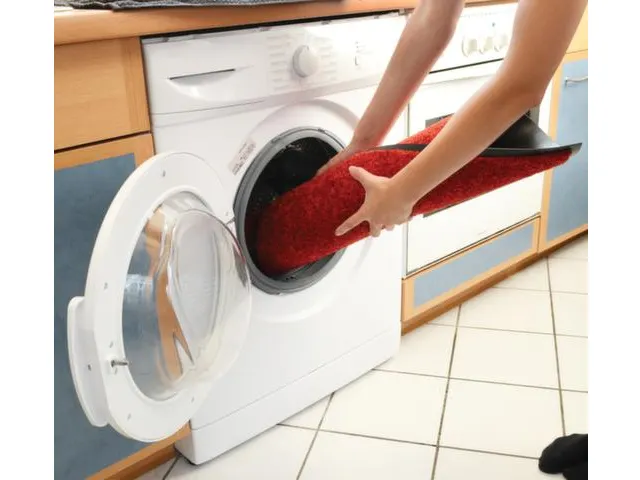 Schoonloopmat Binnen 40x60cm Wasbaar Rood