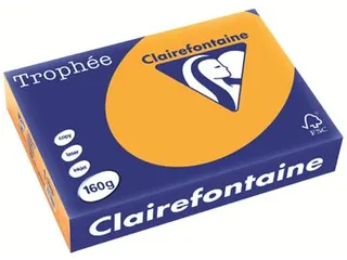 Trophée Pastel gekleurd papier A4 160 gram 250vel Oranje - 2