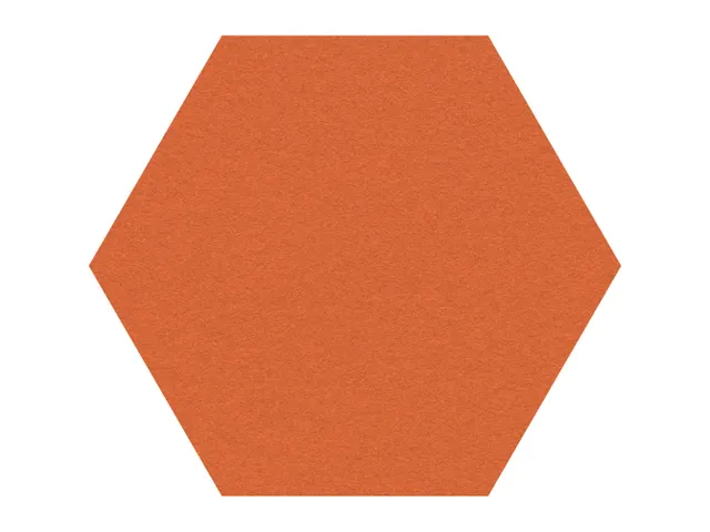 Prikbord Zeshoek Oranje Kleur 2211 Bulletin Paneel Ø 60cm frameloos