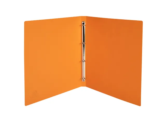 Ringmap 4r 15mm PP A 4 Maïa geassorteerd