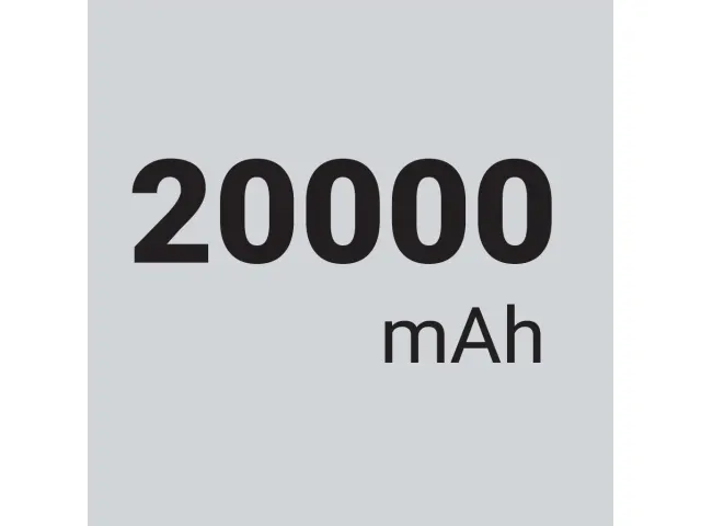 Sandberg Saver Powerbank 20000 USB-A en USB-C Zwart