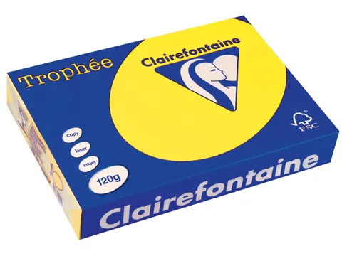 Trophée Intens Gekleurd Papier A4 120 gram 250vel Zonnegeel