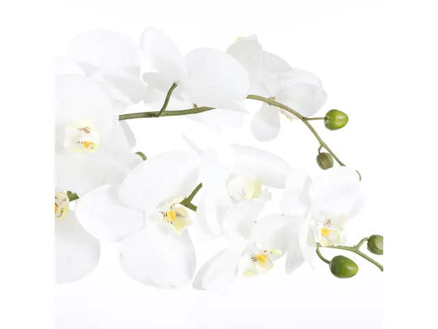 Kunstplant Mica Phalaenopsis orchidee wit in plastic pot 79x51cm