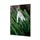 Wanddecoratie Textiel Set A2 Witte Bloem Sneeuwklokje