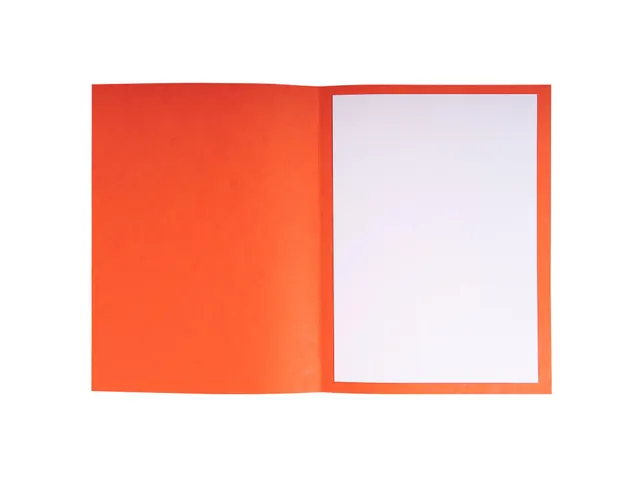 PK 25 dossiermappen Glanskarton 225g Ass