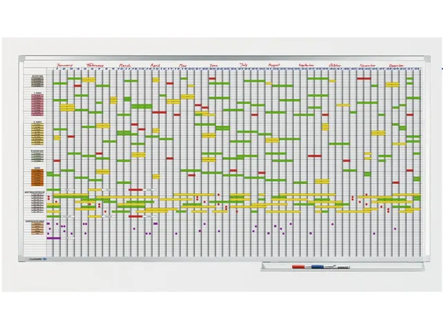 Professionele Jaarplanner 75 items / personen 100x200cm