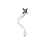 Monitorarm Neomounts NEXT Slim DS70-250WH1 1 scherm 35 inch wit