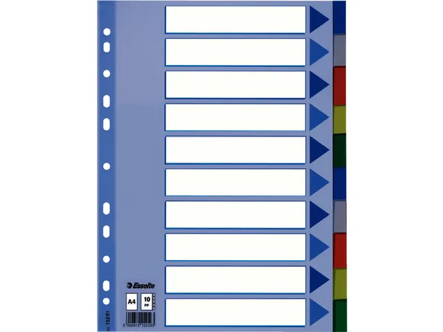 Tabbladen Esselte A4 11-Gaats Pp 10-Delig Assorti