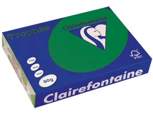 Trophée Intens Gekleurd Papier A4 80 gram 500vel Dennengroen