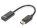 DisplayPort-adapter converter 0.15m Zwart